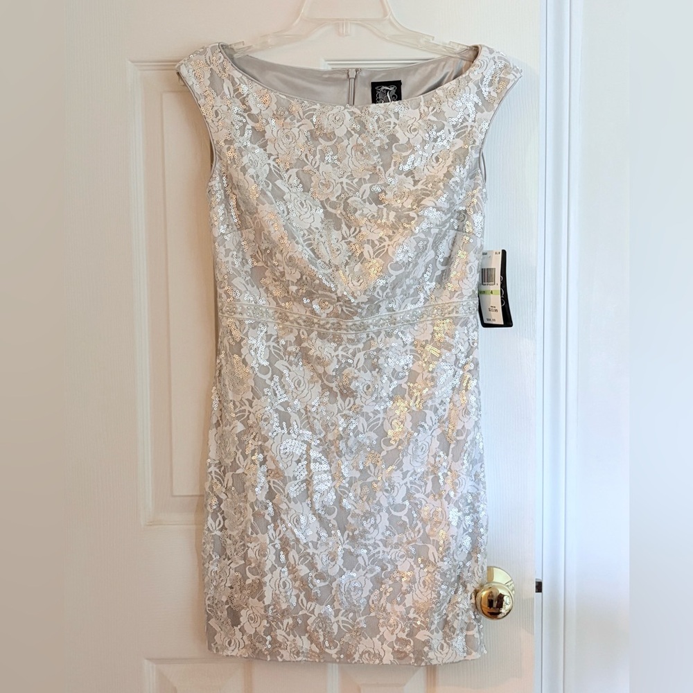Elegant Silver Lace Dress